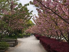 -上海第二工业大学(金海路校区)