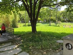 -才村湿地公园