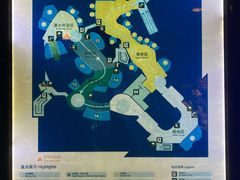 -上海海洋水族馆