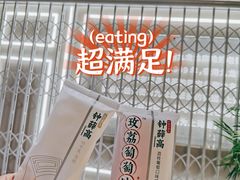 -钟薛高(南头古城店)