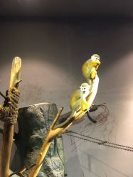 点击看大图 -未来动物城动物主题公园(大悦城店)