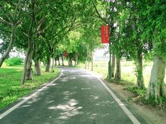 -光明小镇欢乐田园