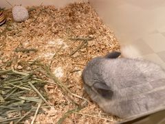 -龙猫仔乐园(惠福东路店)