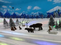 -世界之窗阿尔卑斯冰雪世界