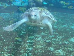 -广州海洋馆