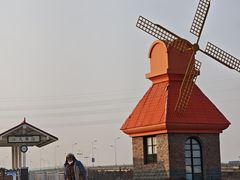 -杭州湾海上花田景区