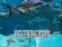 -长鹿旅游休博园