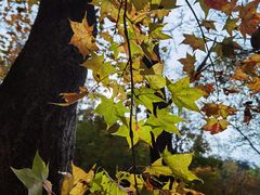 -玉渡山自然风景区