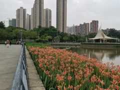 -文华公园(禅城区)