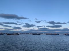 -丰收渔港饭店(嵊泗店)