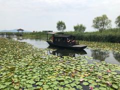 -太湖湖滨国家湿地公园-停车场