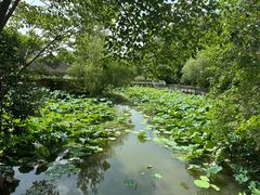 -溱湖国家湿地公园