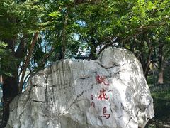 -金鸡湖游船(月光码头)