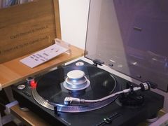 -树懒黑胶唱片店(中山路店)