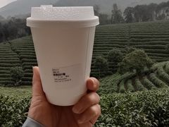 -白茶原·一片叶子