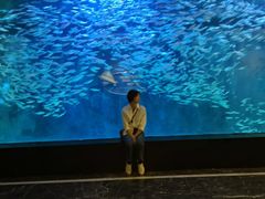 -成都浩海立方海洋公园