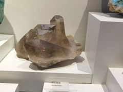 -重庆自然博物馆(新馆)