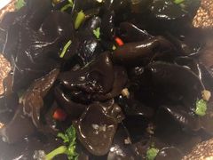捞起野生黑木耳-虾饺妹·酒家(金碧店)