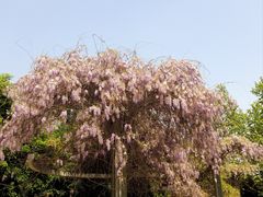 -玉山公园