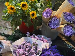 -循礼门鲜花花市(武汉循礼门店)