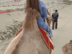 -库伦旗银沙湾旅游景区