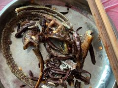 -盘龙黄鳝(盘龙居店)