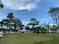 -集美学村