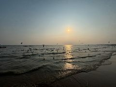 -老虎石海上公园