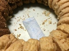 -珍妮曲奇聪明小熊(尖沙咀店)