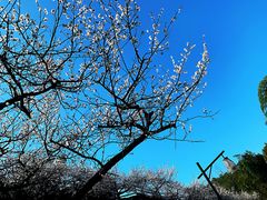 -原乡小镇度假乐园