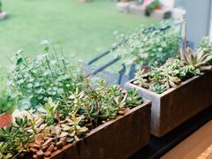 -BOCATA 西班牙餐厅(三里屯店)