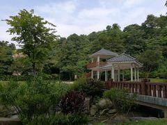 -火炉山森林公园