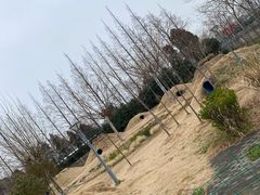 -前小桔亲子创意农场·草莓采摘·露营烧烤