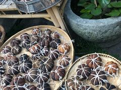 -心无尘茶餐馆(径山村店)