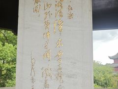 -观潮胜地公园