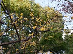 -北山街历史文化街区