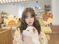 -豆柴町-柴犬主题狗咖(红鼎国际C座店)