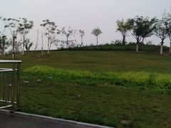 -天津东丽湖风景区