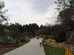 -秀丽东方