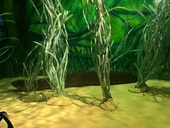 -上海海洋水族馆