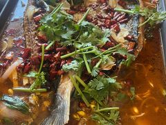 -食鸡公社辣子鸡·潍坊菜·烧烤