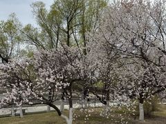 -长春世界雕塑园冰雪艺术天地