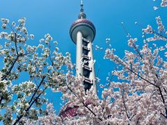 -东方明珠广播电视塔