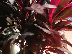 -宴昆山·私房菜(春晖店)