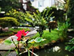 -杭州西湖风景名胜区-满觉陇四眼井