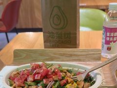 -油梨树AVOCADO TREE(望京店)