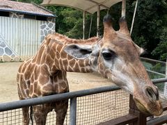 -泉州海丝野生动物世界
