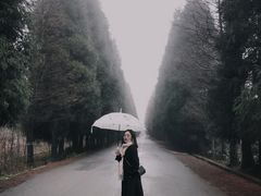 -山王坪喀斯特国家生态公园