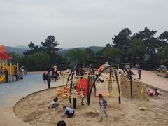 -铁山坪森林公园