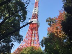 -东京塔海贼王主题公园